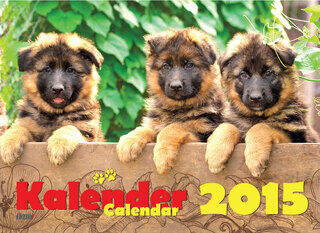 Koirakalenteri