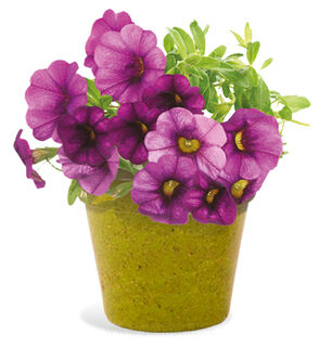 flower pot 3. picture